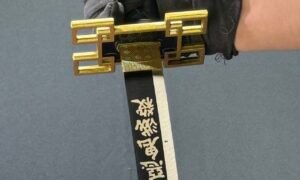 demon slayer mist hashira muichiro nichirin sword prop (non sharpened)